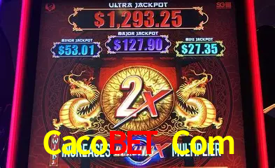 A Experiência Imersiva dos Cassinos Ao Vivo no Cacobet Com