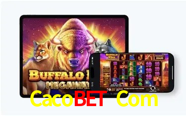 Descubra o Programa VIP da Cacobet Com: Vantagens Exclusivas para Jogadores